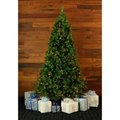 Almo Fulfillment Services Llc Fraser Hill Farm Artificial Christmas Tree - 6.5 Ft. Canyon Pine - Clear LED Lighting FFCM065-5GR